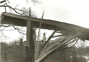 Carver Building as seen through a tree split by the 1974 tornado